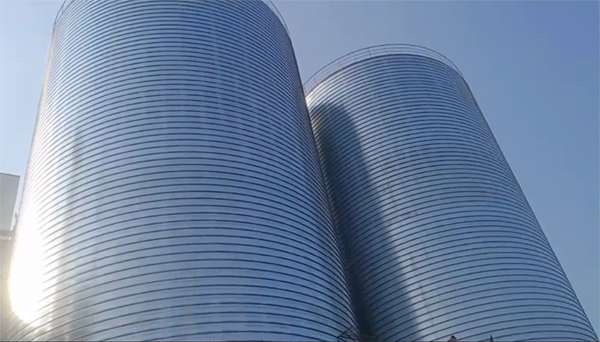 中卫2座混凝土高架卷板仓